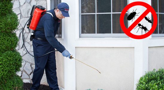 Konyaaltı Uçan Haşere İlaçlama böcek ilaçlama ve haşere kontrolü — ilaclama-tr.com